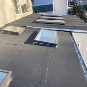 Flat Roof with Skylights in the Bronx