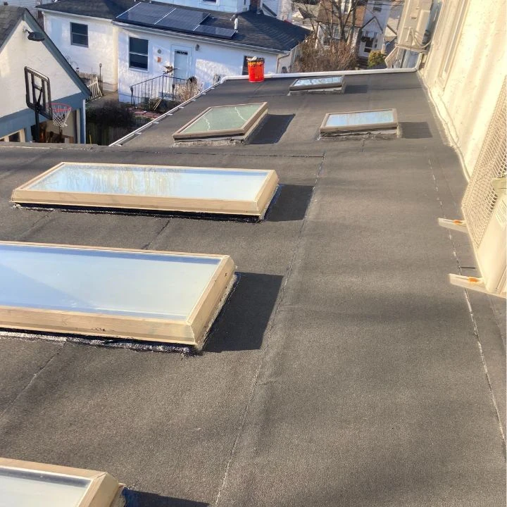 Flat roof with skylights