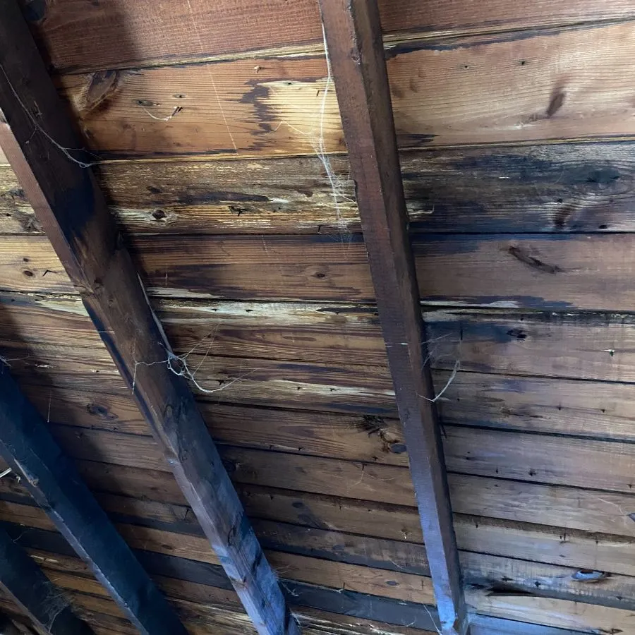 Attic view of water stained wooden roof deck