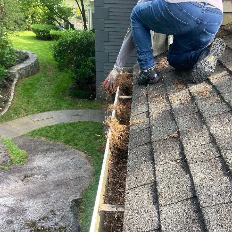 Cleaning clogged gutter on asphalt shingle roof