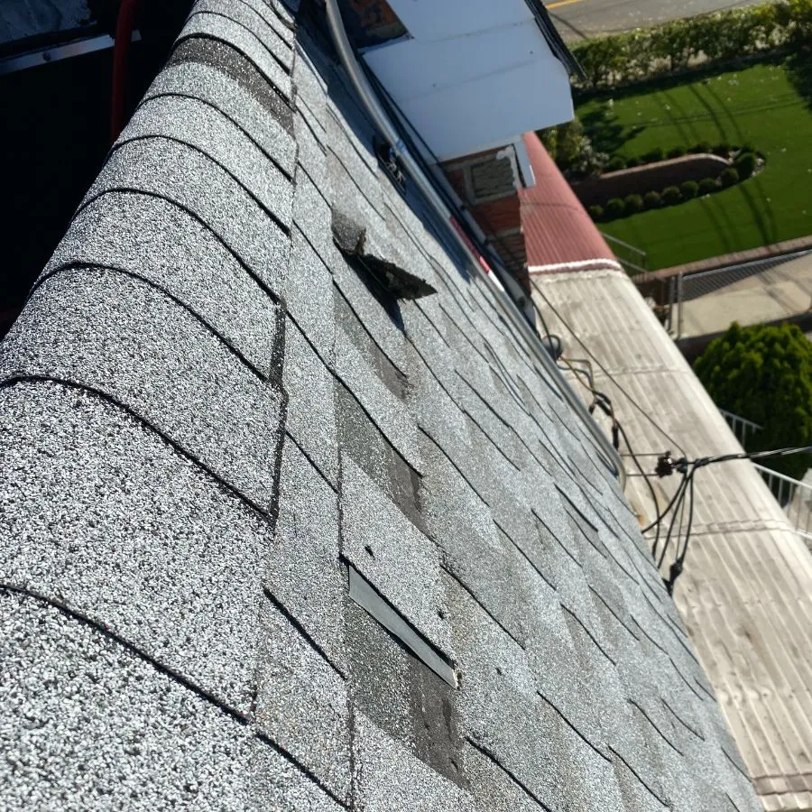 Damaged roof shingles closeup inspection