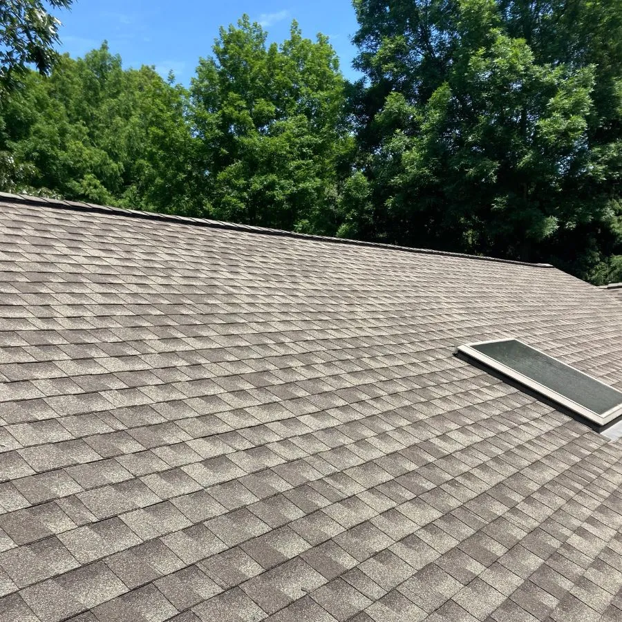 New asphalt shingle roof with skylight and trees
